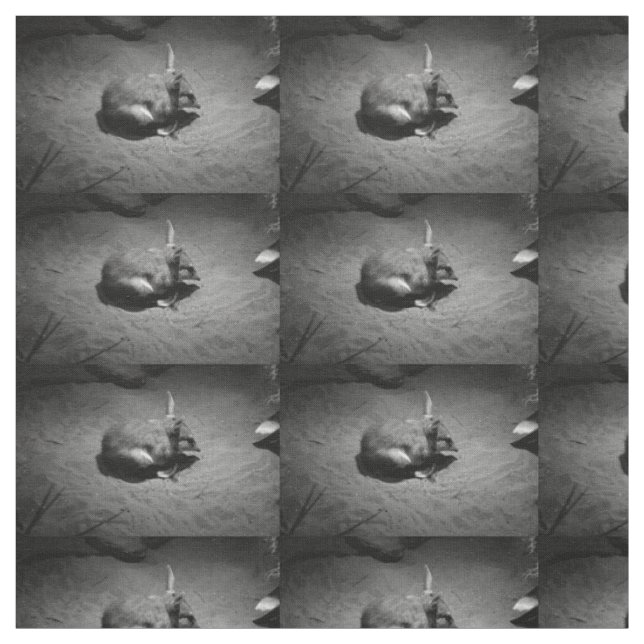 Bilby-Foto, Schwarz-Weiß, Stoff (Muster)
