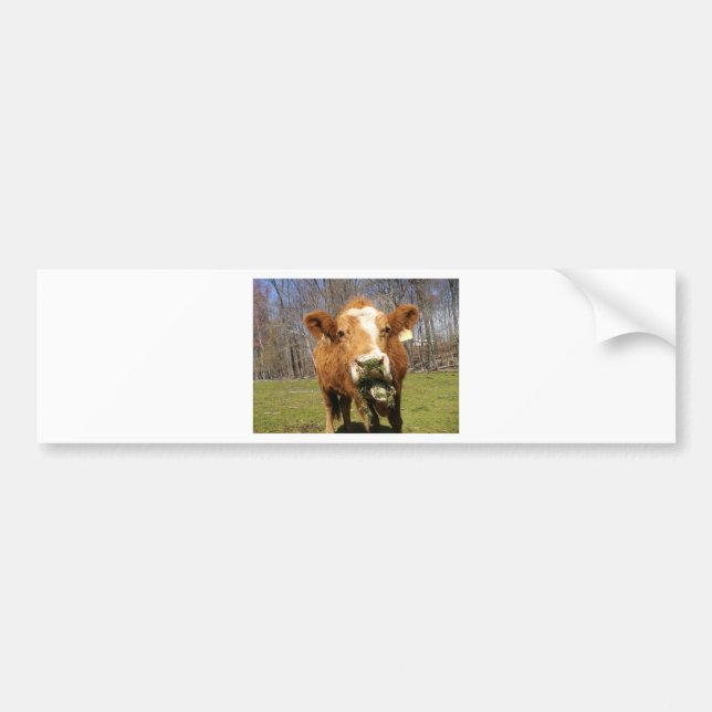 Bild 001 autoaufkleber (Vorne)