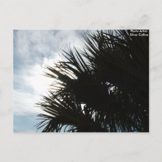 Bild 150, Foto Artist: Silver Collins Postkarte