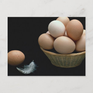 Bild der Eier in einer Schüssel angeordnet Postkarte