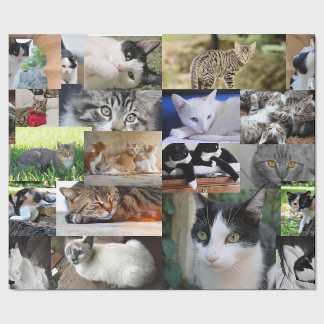 Bild der verschiedenen Katzen Geschenkpapier (Saum)