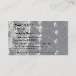 Bild des Alligators, Detail Visitenkarte