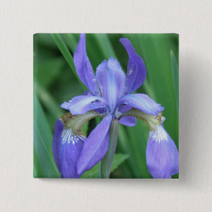Bild des Iris-Quadrat-Buttons Button