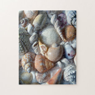 Bild des Seashells Puzzle