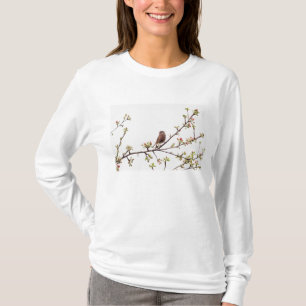 Bild des Spatzen singend in blühendem Baum T-Shirt