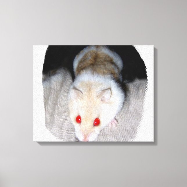 Bild des weißen und blonden Albino-Hamsters Leinwanddruck (Vorderseite)