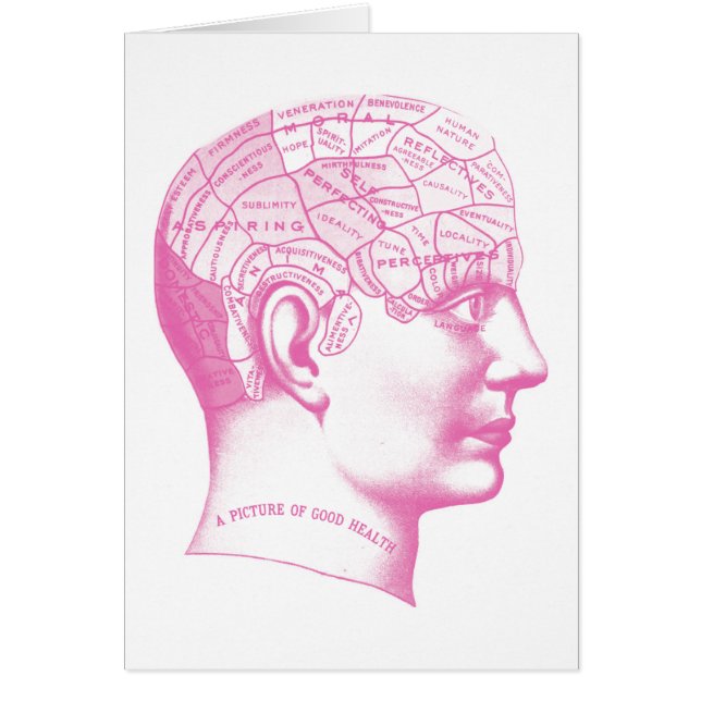 Bild eines guten Gehirns (Vorne)