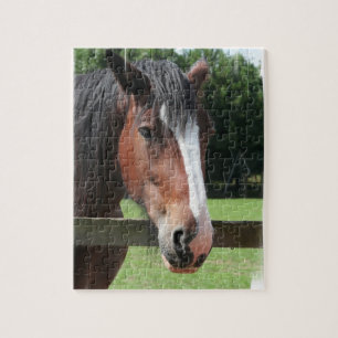 Bild eines Quarterhorse-Puzzlespiels