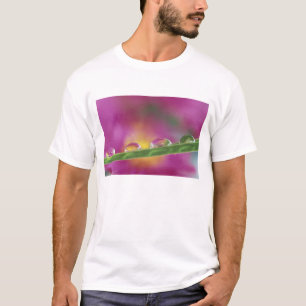 Bild von Astern, die in Wassertropfen entstanden s T-Shirt