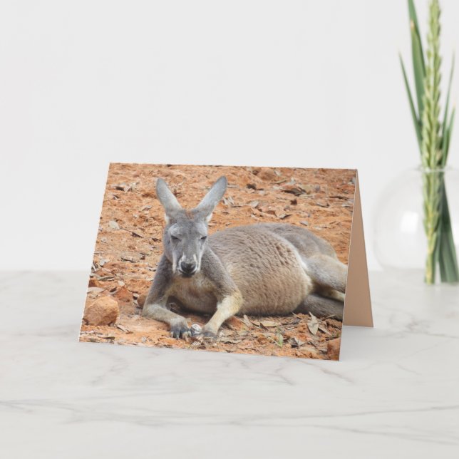 Bild von Kangaroo - Happy Birthday To Roo Karte (Vorderseite)