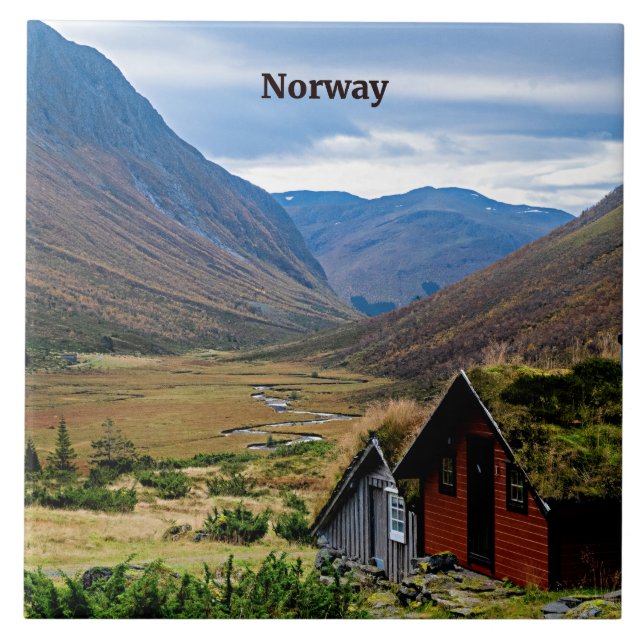 Bildaufnahme Norwegens Fliese (Vorderseite)