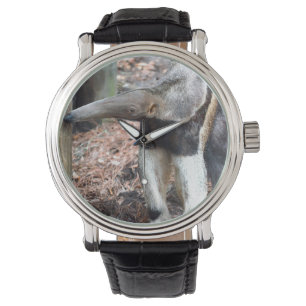 Bildbild des wilden Tieres des Anteater Nase Armbanduhr