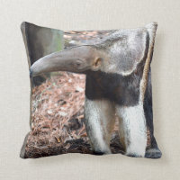 Bildbild des wilden Tieres des Anteater Nase