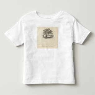 Bilden Sie sich in, welchem William Penn Kleinkind T-shirt