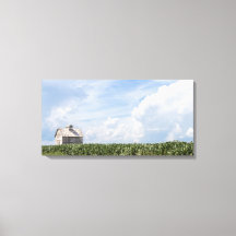Bilder aus der Serie "Old Barns" - Sommerkornfelde