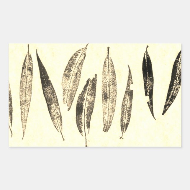 Bilder aus direkter Natur-Blatt-Aufkleber Rechteckiger Aufkleber (Vorderseite)