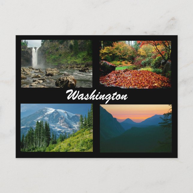 Bilder aus Washington Postkarte (Vorderseite)