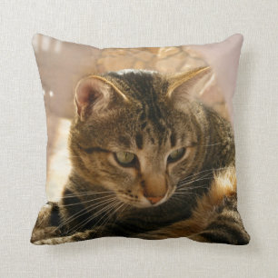 Bilder der Katzengeschenke pillows Kissen