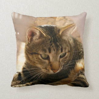 Bilder der Katzengeschenke pillows Kissen
