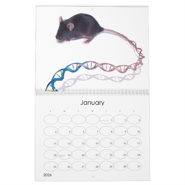 Bilder des Humangenomprojekts Kalender (Jan 2026)
