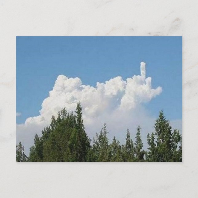 Bilder einer zukunftsweisenden Natur Postkarte (Vorderseite)