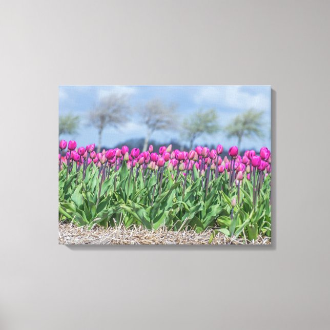 Bilder in der Leinwand eines Felds (Vorderseite)