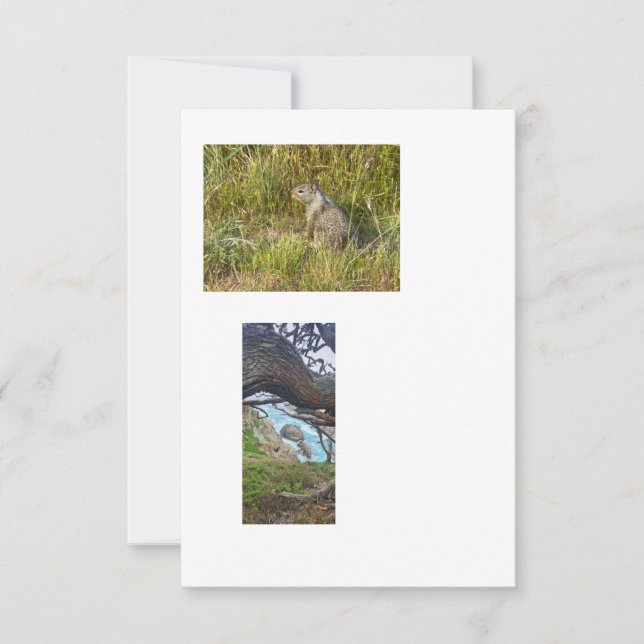 Bilder mit verknüpften Vorlagen (Vorderseite)