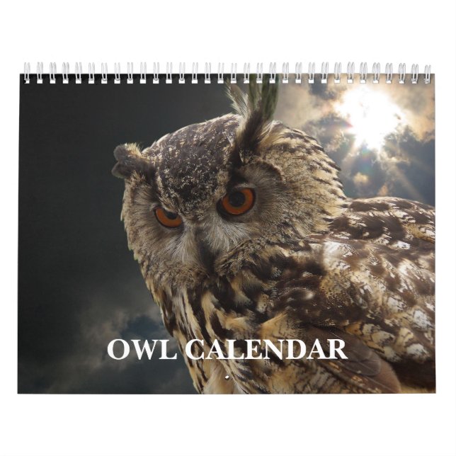 Bilder und Bilder 2025 Kalender (Titelbild)