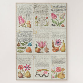 Bilder von Mira Calligraphiae Monumenta 004