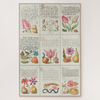 Bilder von Mira Calligraphiae Monumenta 004