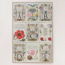 Bilder von Mira Calligraphiae Monumenta 7