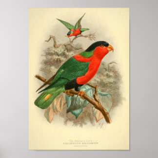 Bilder von Vogelgeschenkplakaten Poster
