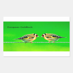 Bilder von Wildtieren für Rectangle-Stickers Rechteckiger Aufkleber