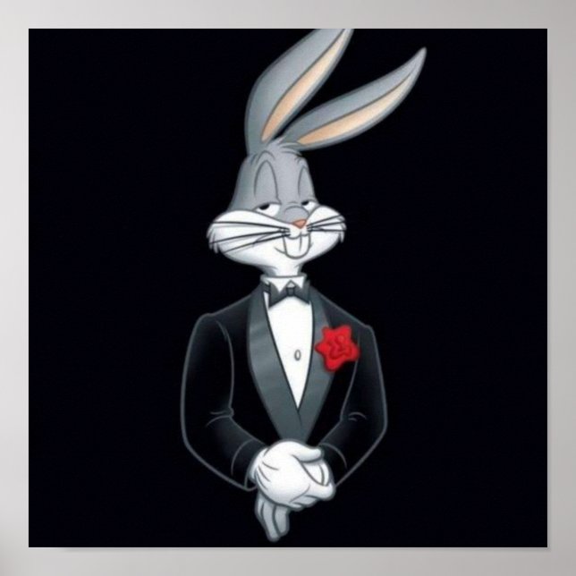 Bilder von Zeichentrickfiguren Poster (Vorne)