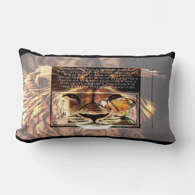 Bilderfassung 01 lendenkissen (Vorderseite)