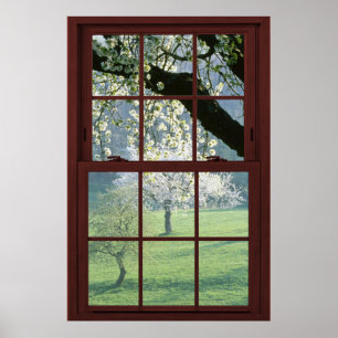 Bildfenster Landschaft - Kirschblüten. Poster
