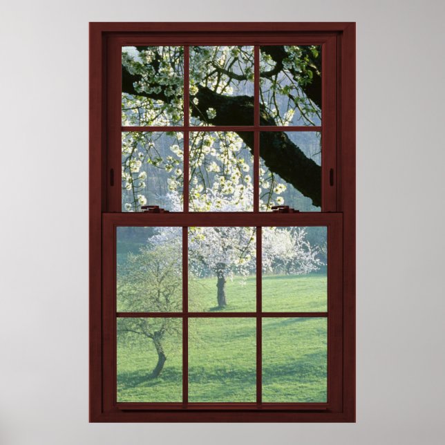 Bildfenster Landschaft - Kirschblüten. Poster (Vorne)