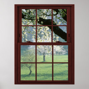 Bildfenster Landschaft - Kirschblüten Poster