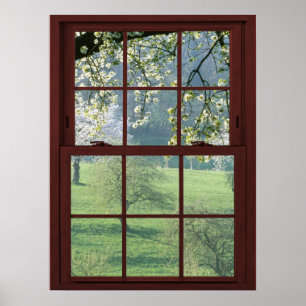 Bildfenster Landschaft - Kirschblüten Poster