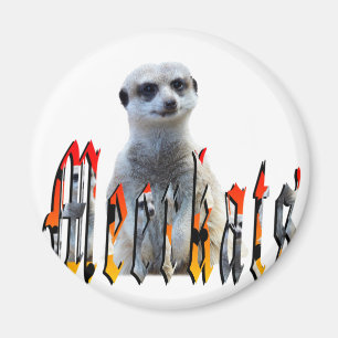 Bildlogo Meerkatcand Meerkats Magnet