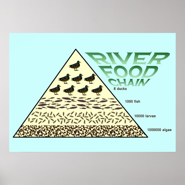 Bildung, Wissenschaft, Lebensmittelkette Poster (Vorne)