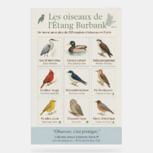 Bildungsplakat – Die Vögel des Burbank-Teichs (