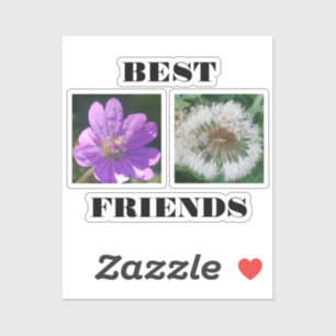 Bildvorlage für die besten Freunde Aufkleber