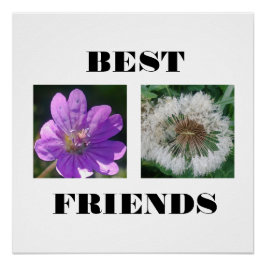 Bildvorlage für die besten Freunde Poster