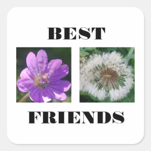 Bildvorlage für die besten Freunde Quadratischer Aufkleber