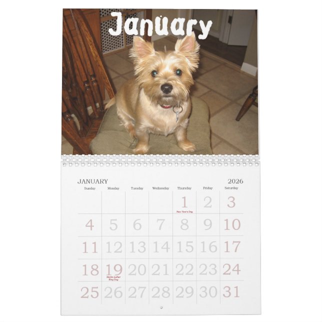 Bilgewater Kalender (Jan 2026)