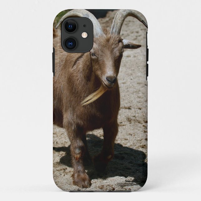 Bill Case-Mate iPhone Hülle (Rückseite)