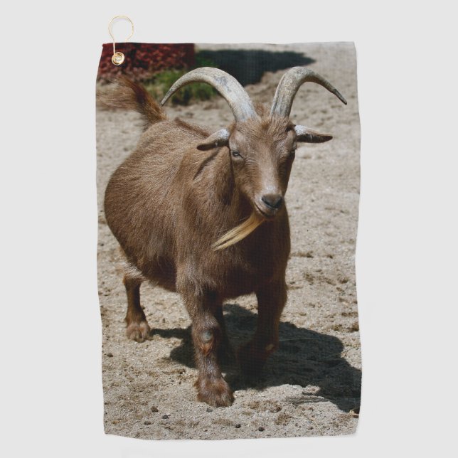 Bill Golfhandtuch (Vorderseite)