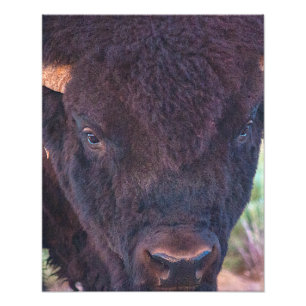 Bill-Portrait Fotodruck