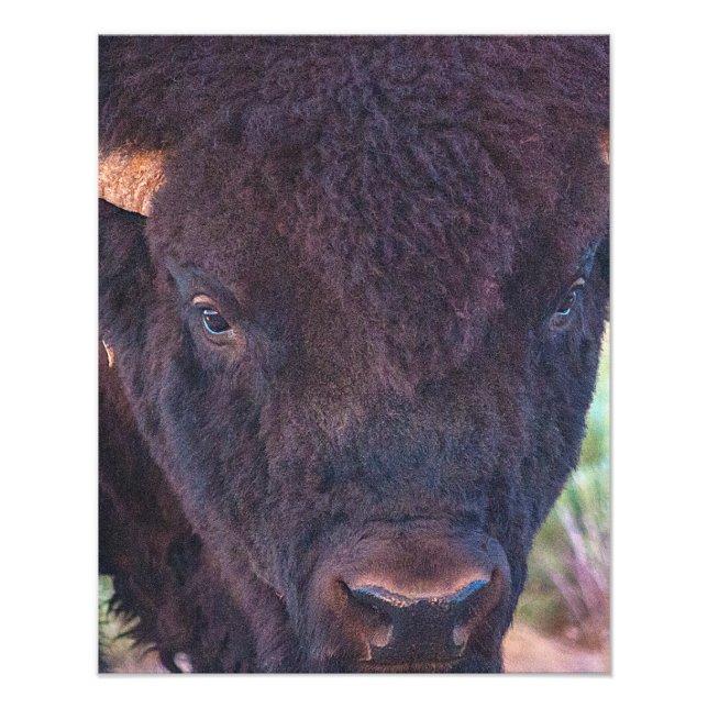 Bill-Portrait Fotodruck (Vorne)